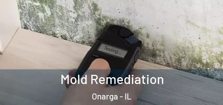 Mold Remediation Onarga - IL