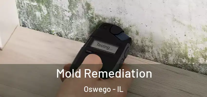 Mold Remediation Oswego - IL