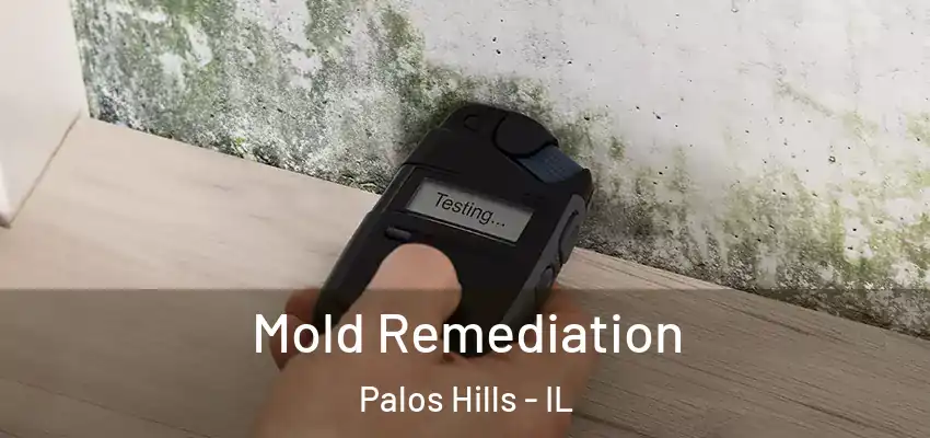 Mold Remediation Palos Hills - IL