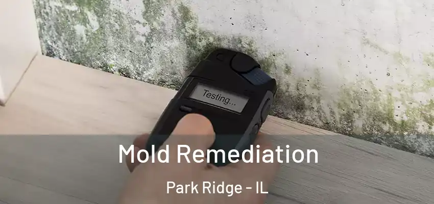 Mold Remediation Park Ridge - IL