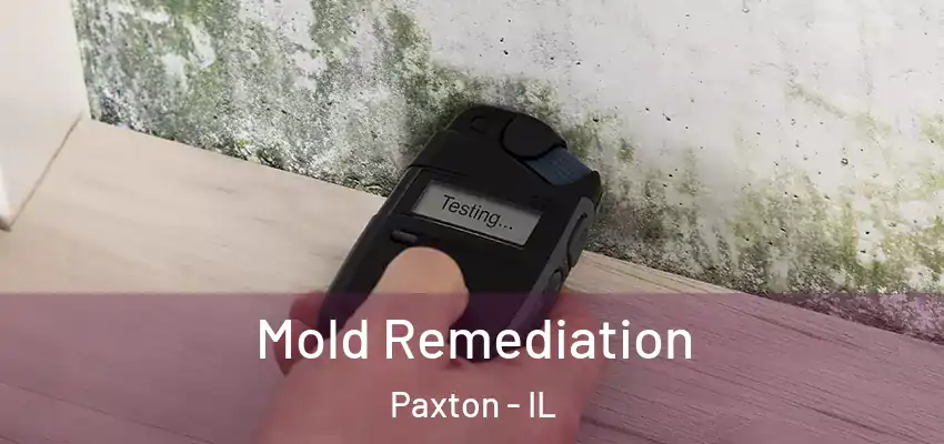  Mold Remediation Paxton - IL