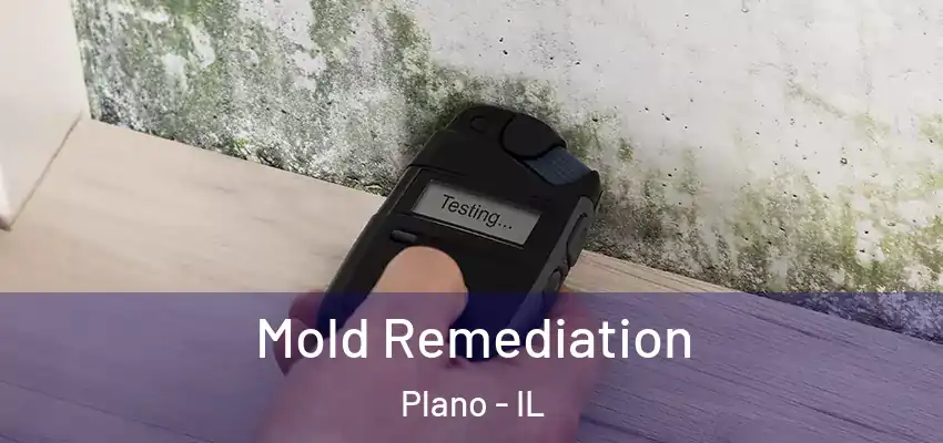 Mold Remediation Plano - IL