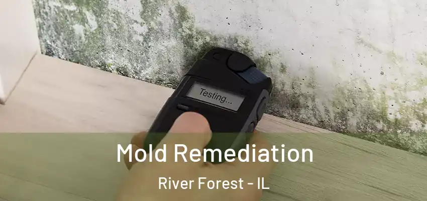 Mold Remediation River Forest - IL