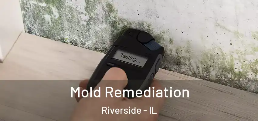 Mold Remediation Riverside - IL