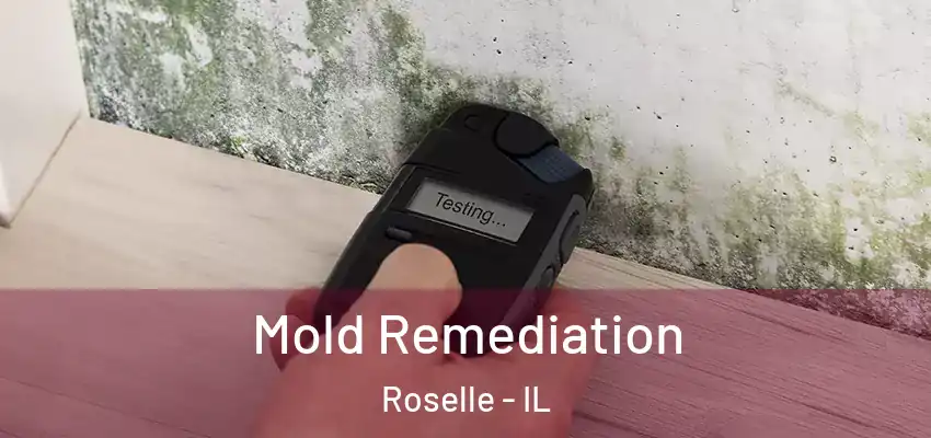 Mold Remediation Roselle - IL