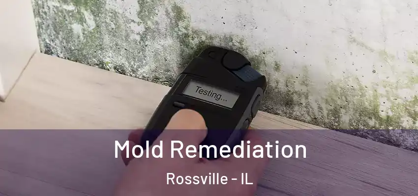  Mold Remediation Rossville - IL