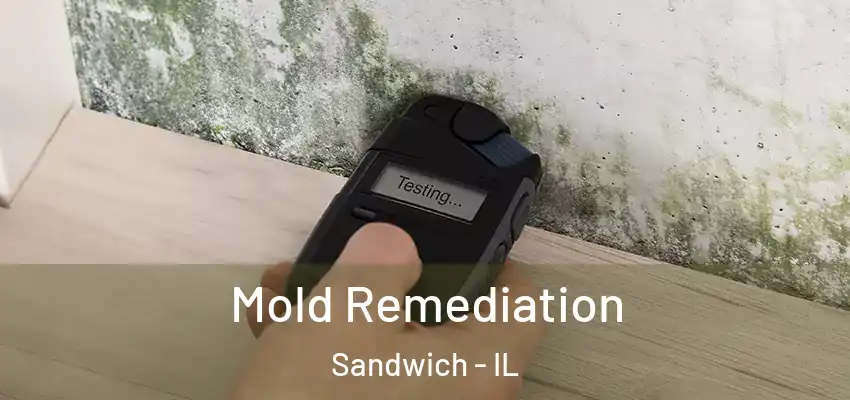Mold Remediation Sandwich - IL
