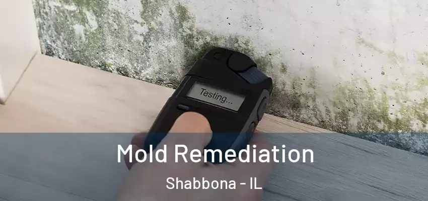  Mold Remediation Shabbona - IL