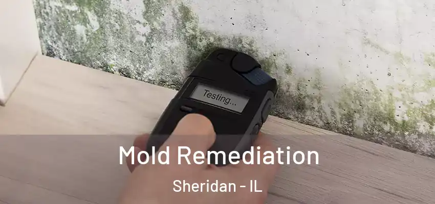  Mold Remediation Sheridan - IL