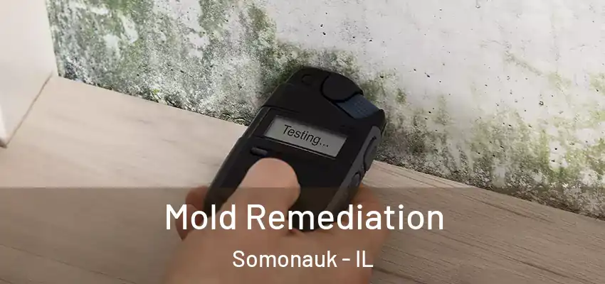  Mold Remediation Somonauk - IL