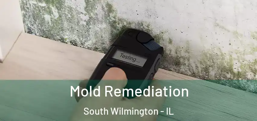 Mold Remediation South Wilmington - IL