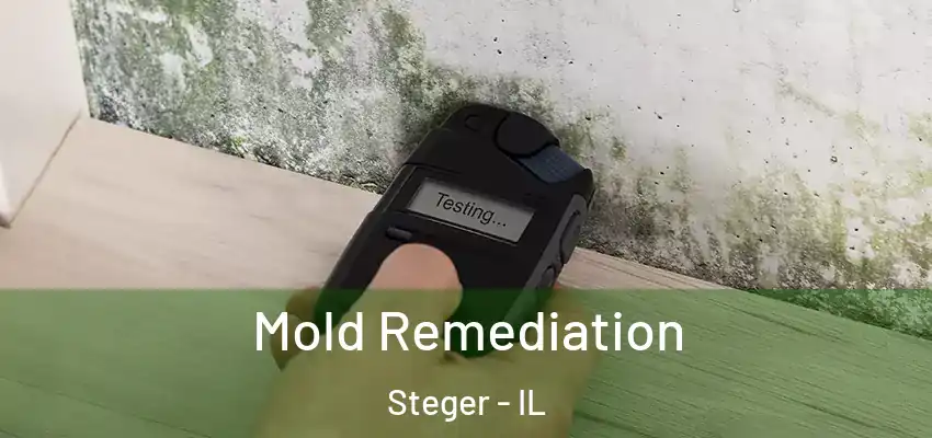  Mold Remediation Steger - IL