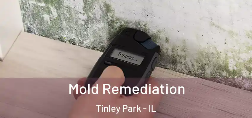 Mold Remediation Tinley Park - IL