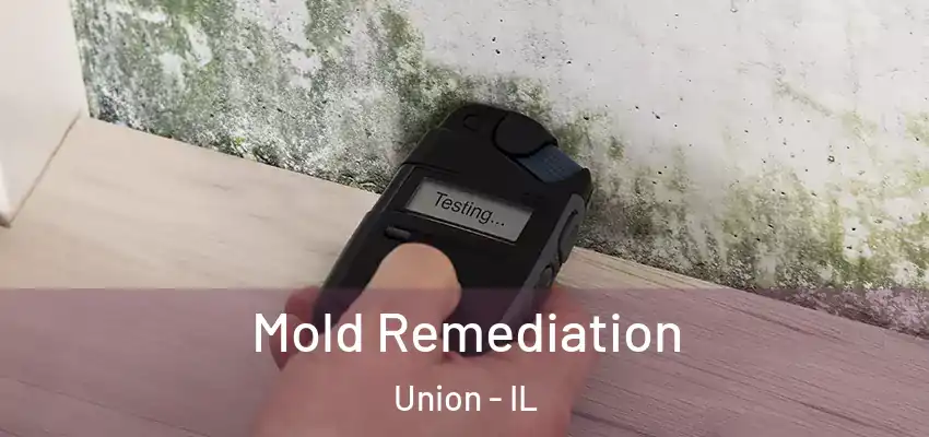Mold Remediation Union - IL