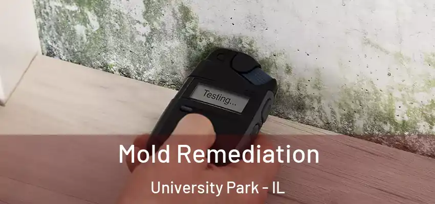Mold Remediation University Park - IL