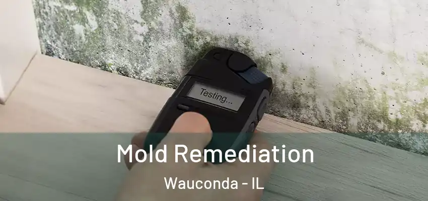  Mold Remediation Wauconda - IL