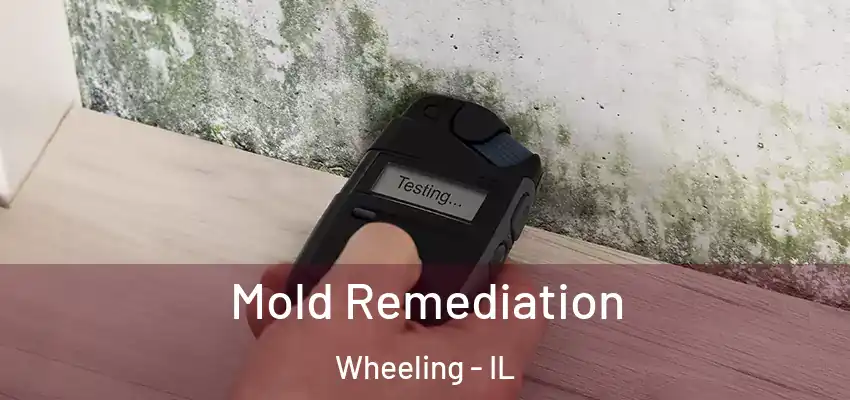Mold Remediation Wheeling - IL
