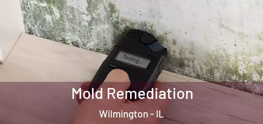  Mold Remediation Wilmington - IL