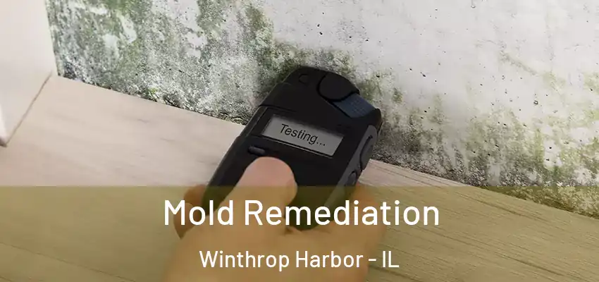  Mold Remediation Winthrop Harbor - IL