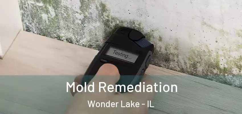  Mold Remediation Wonder Lake - IL