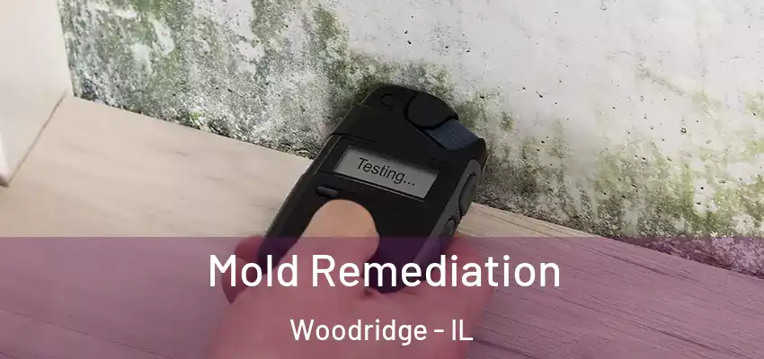  Mold Remediation Woodridge - IL