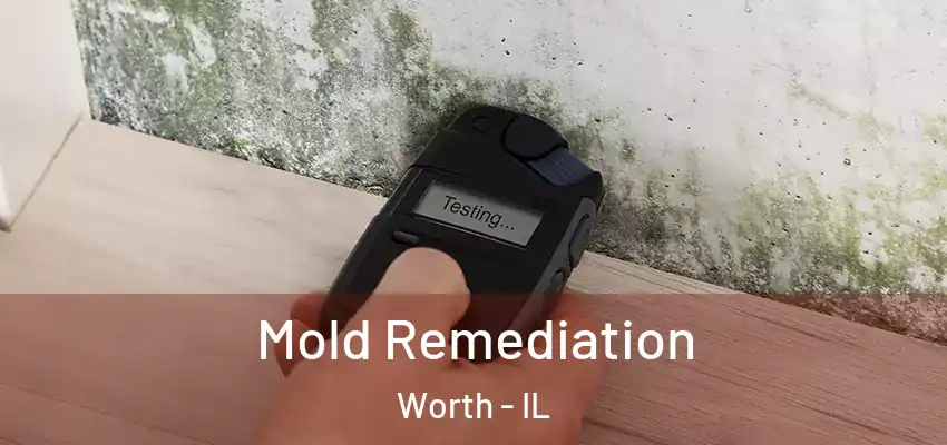 Mold Remediation Worth - IL