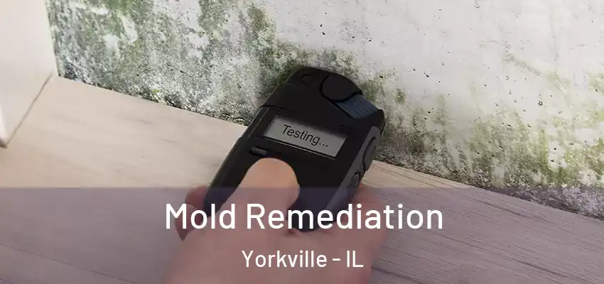 Mold Remediation Yorkville - IL