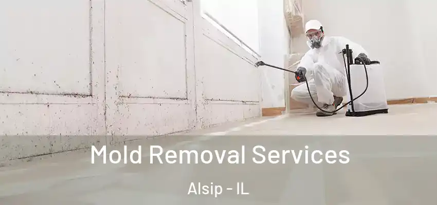  Mold Removal Services Alsip - IL