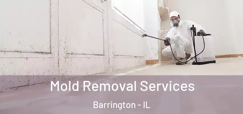 Mold Removal Services Barrington - IL