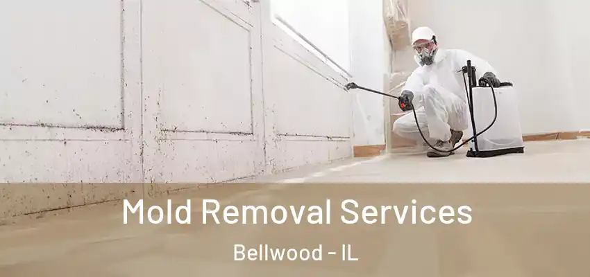  Mold Removal Services Bellwood - IL