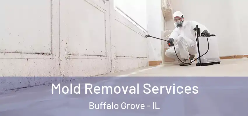  Mold Removal Services Buffalo Grove - IL