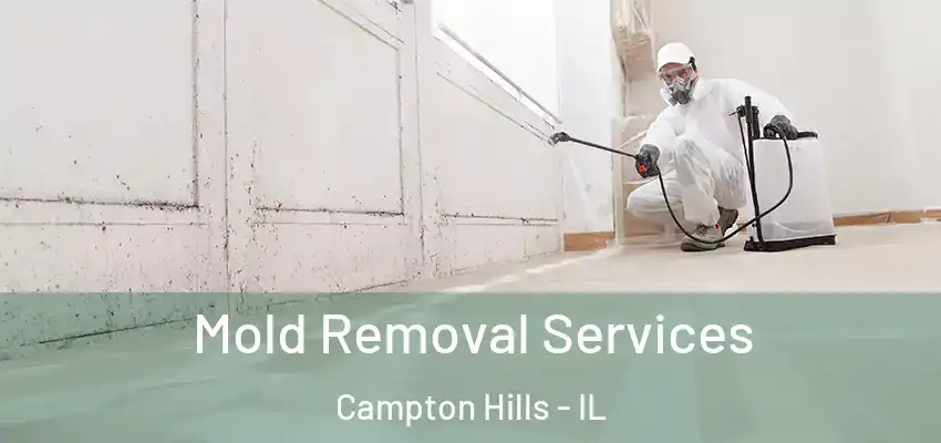  Mold Removal Services Campton Hills - IL
