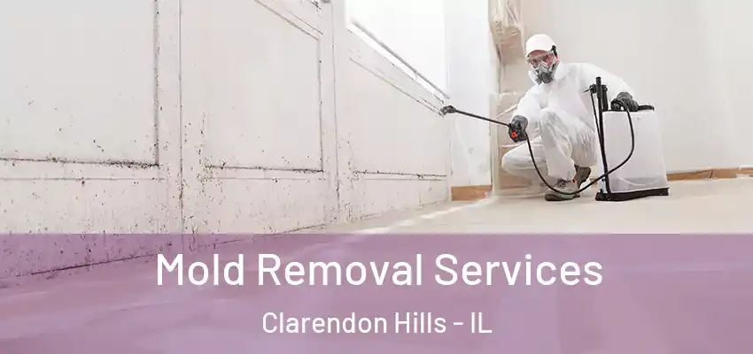 Mold Removal Services Clarendon Hills - IL