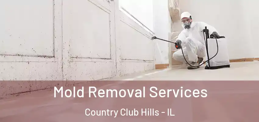  Mold Removal Services Country Club Hills - IL