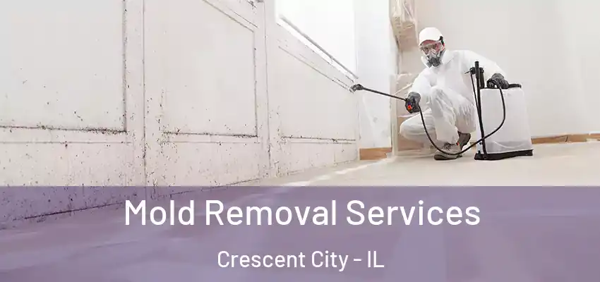 Mold Removal Services Crescent City - IL