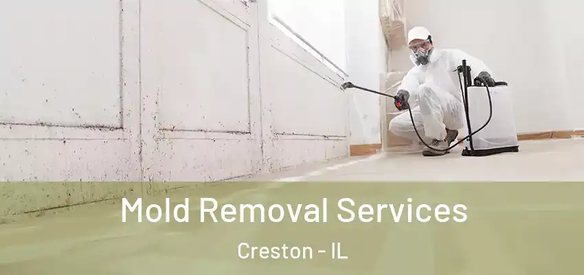  Mold Removal Services Creston - IL