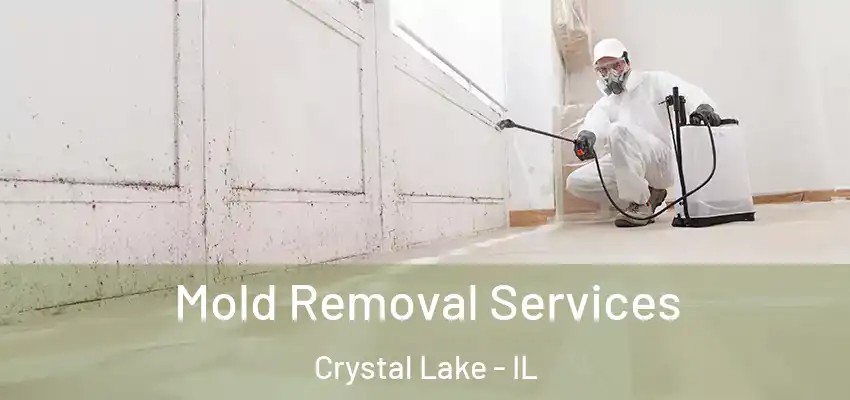  Mold Removal Services Crystal Lake - IL
