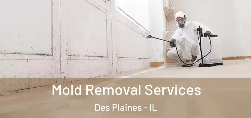  Mold Removal Services Des Plaines - IL