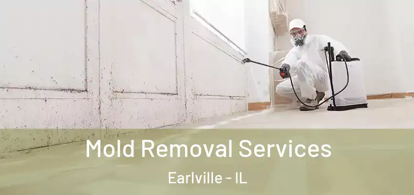 Mold Removal Services Earlville - IL