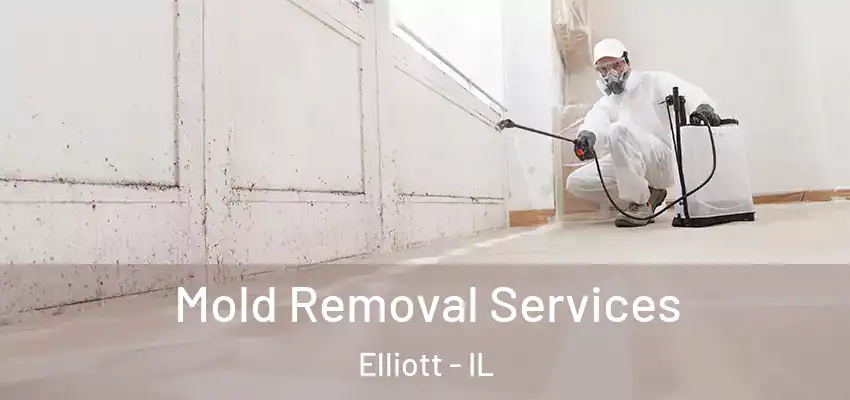  Mold Removal Services Elliott - IL