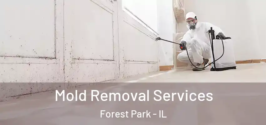 Mold Removal Services Forest Park - IL