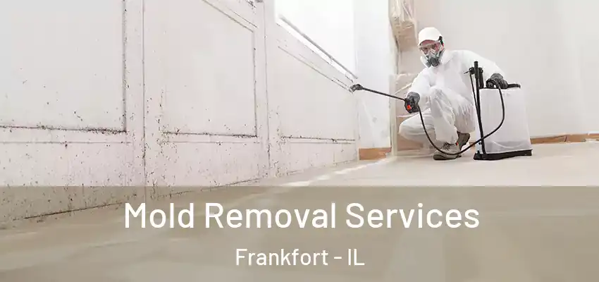 Mold Removal Services Frankfort - IL
