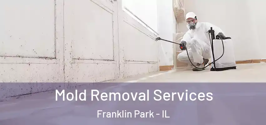  Mold Removal Services Franklin Park - IL