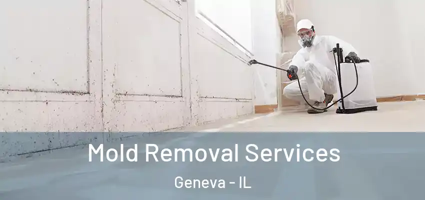 Mold Removal Services Geneva - IL