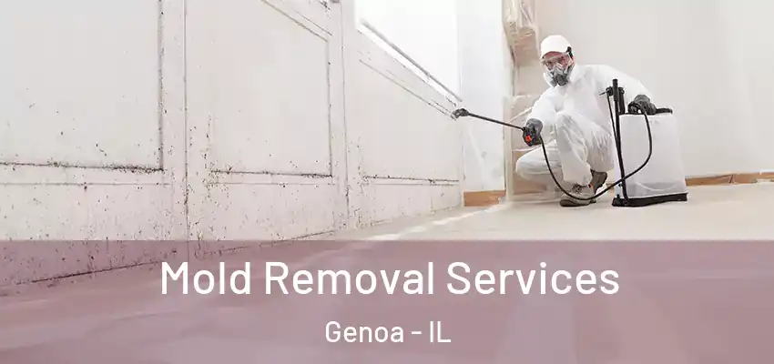  Mold Removal Services Genoa - IL