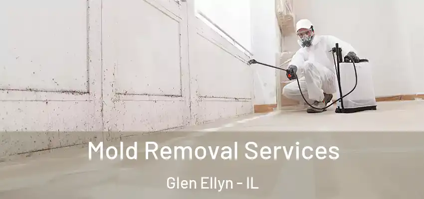 Mold Removal Services Glen Ellyn - IL