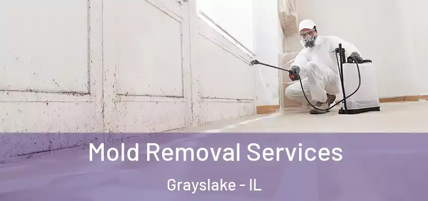 Mold Removal Services Grayslake - IL