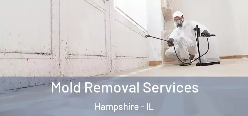 Mold Removal Services Hampshire - IL