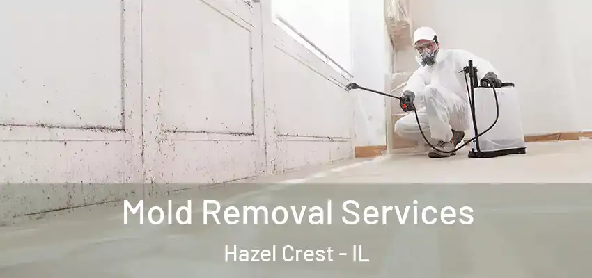  Mold Removal Services Hazel Crest - IL