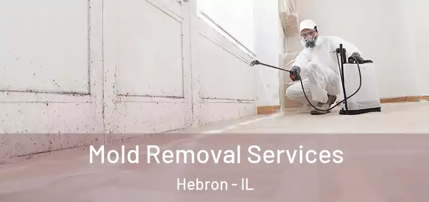 Mold Removal Services Hebron - IL